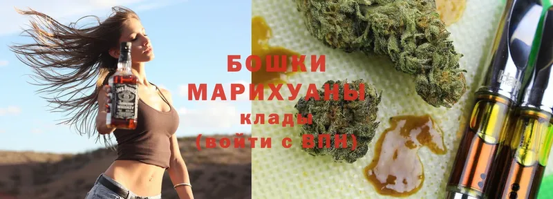 Конопля OG Kush  продажа наркотиков  Велиж 